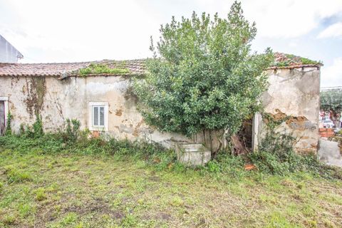 Villa i Alcobaca, Leiria, Alcobaca - € 95.000 | Ref: SF-SAFTI:004276 - foto 4