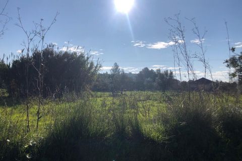 Terra a Olaia e Paco, Santarem, Olaia e Paco - € 33.000 | Ref: SF-SAFTI:004383 - foto 9