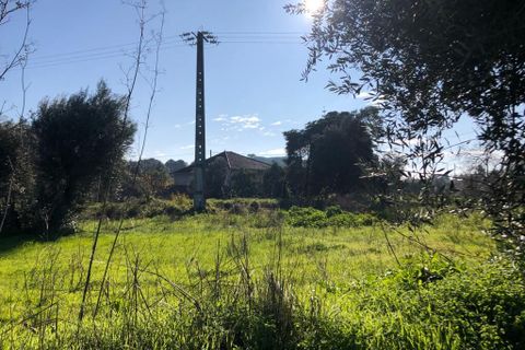 Terra a Olaia e Paco, Santarem, Olaia e Paco - € 33.000 | Ref: SF-SAFTI:004383 - foto 11