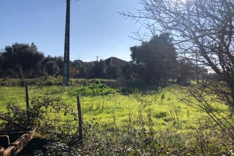 Terra a Olaia e Paco, Santarem, Olaia e Paco - € 33.000 | Ref: SF-SAFTI:004383 - foto 13