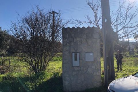 Terra a Olaia e Paco, Santarem, Olaia e Paco - € 33.000 | Ref: SF-SAFTI:004383 - foto 14