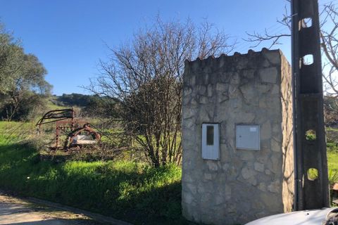 Terra a Olaia e Paco, Santarem, Olaia e Paco - € 33.000 | Ref: SF-SAFTI:004383 - foto 15