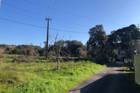Terra a Olaia e Paco, Santarem, Olaia e Paco - € 33.000 | Ref: SF-SAFTI:004383 - foto 17