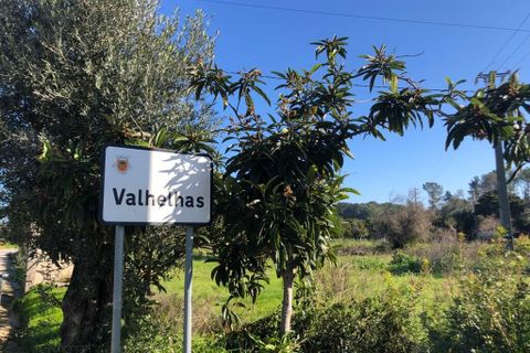 Terra a Olaia e Paco, Santarem, Olaia e Paco - € 33.000 | Ref: SF-SAFTI:004383 - foto 19