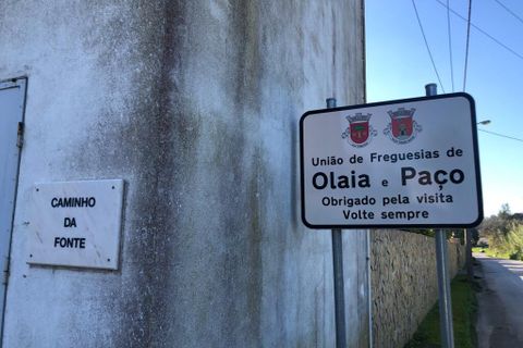 Terra a Olaia e Paco, Santarem, Olaia e Paco - € 33.000 | Ref: SF-SAFTI:004383 - foto 20