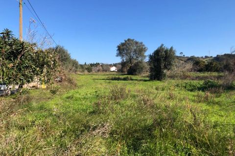 Terra a Olaia e Paco, Santarem, Olaia e Paco - € 33.000 | Ref: SF-SAFTI:004383 - foto 21