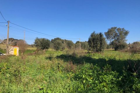 Terra a Olaia e Paco, Santarem, Olaia e Paco - € 33.000 | Ref: SF-SAFTI:004383 - foto 24