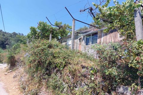 Villa i Arcos de Valdevez, Viana do Castelo, Arcos de Valdevez - € 24.000 | Ref: SF-SAFTI:003002 - foto 3