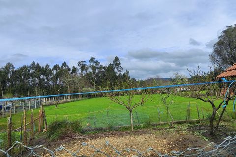 Villa i Ponte de Lima, Viana do Castelo, Ponte de Lima - € 120.000 | Ref: SF-SAFTI:007278 - foto 4