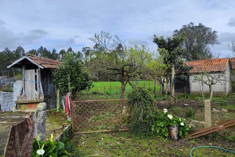 Villa i Ponte de Lima, Viana do Castelo, Ponte de Lima - € 120.000 | Ref: SF-SAFTI:007278 - foto 5