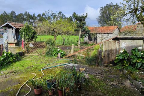 Villa i Ponte de Lima, Viana do Castelo, Ponte de Lima - € 120.000 | Ref: SF-SAFTI:007278 - foto 12