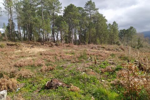 Helårsgrund i Moncao, Viana do Castelo, Moncao - € 68.500 | Ref: SF-SAFTI:002755 - foto 7