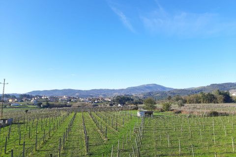 Farm i Moncao, Viana do Castelo, Moncao - € 550.000 | Ref: SF-SAFTI:001845 - foto 2