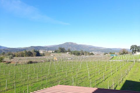 Farm i Moncao, Viana do Castelo, Moncao - € 550.000 | Ref: SF-SAFTI:001845 - foto 9