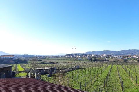 Farm i Moncao, Viana do Castelo, Moncao - € 550.000 | Ref: SF-SAFTI:001845 - foto 12