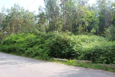 Helårsgrund i Moncao, Viana do Castelo, Moncao - € 45.000 | Ref: SF-SAFTI:003339 - foto 1