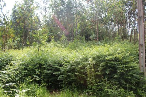 Helårsgrund i Moncao, Viana do Castelo, Moncao - € 45.000 | Ref: SF-SAFTI:003339 - foto 2