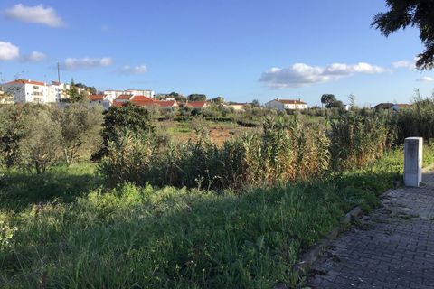 Helårsgrund i Macao, Santarem, Macao - € 25.000 | Ref: SF-SAFTI:004730 - foto 2