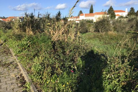 Helårsgrund i Macao, Santarem, Macao - € 25.000 | Ref: SF-SAFTI:004730 - foto 8
