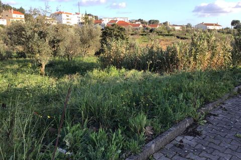 Helårsgrund i Macao, Santarem, Macao - € 25.000 | Ref: SF-SAFTI:004730 - foto 9
