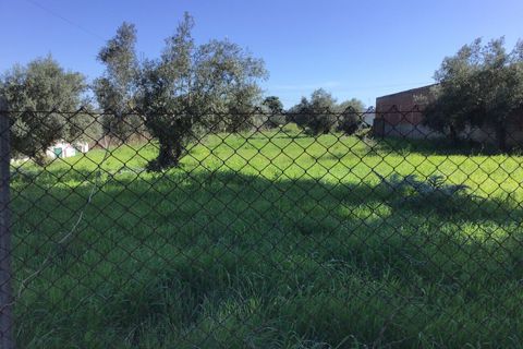 Helårsgrund i Tomar, Santarem, Tomar - € 85.000 | Ref: SF-SAFTI:004729 - foto 7