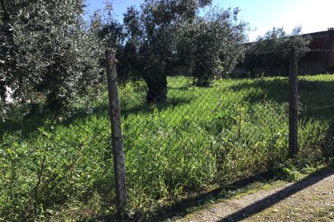 Helårsgrund i Tomar, Santarem, Tomar - € 85.000 | Ref: SF-SAFTI:004729 - foto 8