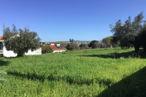 Helårsgrund i Tomar, Santarem, Tomar - € 85.000 | Ref: SF-SAFTI:004729 - foto 9