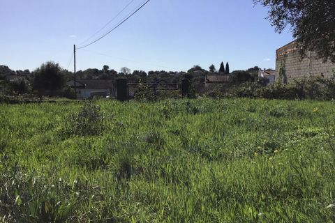 Helårsgrund i Tomar, Santarem, Tomar - € 85.000 | Ref: SF-SAFTI:004729 - foto 12