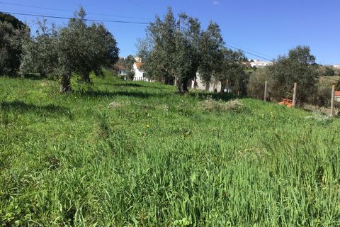 Helårsgrund i Tomar, Santarem, Tomar - € 85.000 | Ref: SF-SAFTI:004729 - foto 13