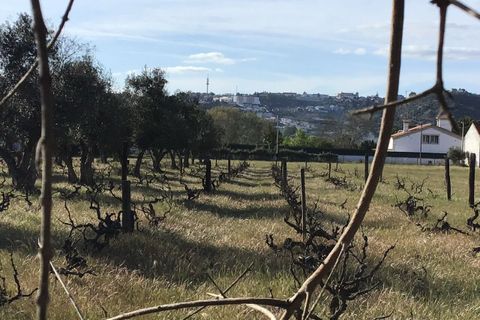 Helårsgrund i Abrantes, Santarem, Abrantes - € 55.000 | Ref: SF-SAFTI:003212 - foto 1