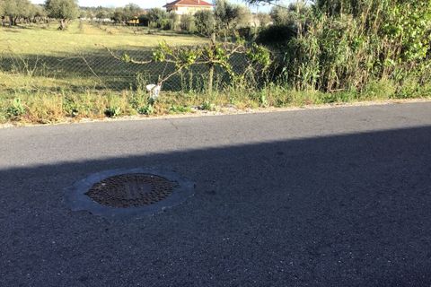Helårsgrund i Abrantes, Santarem, Abrantes - € 55.000 | Ref: SF-SAFTI:003212 - foto 3