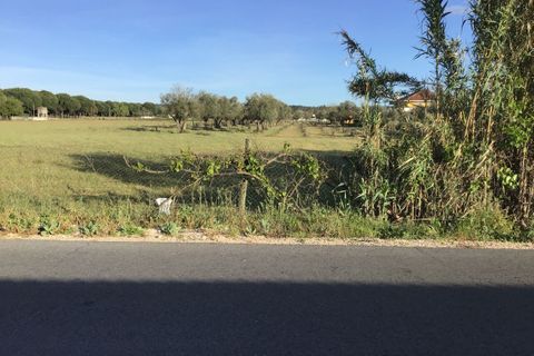 Helårsgrund i Abrantes, Santarem, Abrantes - € 55.000 | Ref: SF-SAFTI:003212 - foto 4