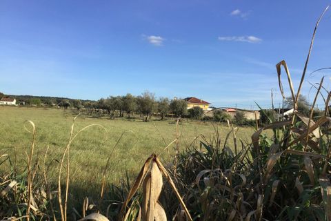 Helårsgrund i Abrantes, Santarem, Abrantes - € 55.000 | Ref: SF-SAFTI:003212 - foto 5