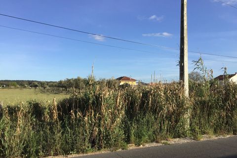 Helårsgrund i Abrantes, Santarem, Abrantes - € 55.000 | Ref: SF-SAFTI:003212 - foto 6