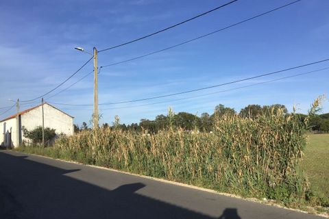 Helårsgrund i Abrantes, Santarem, Abrantes - € 55.000 | Ref: SF-SAFTI:003212 - foto 7