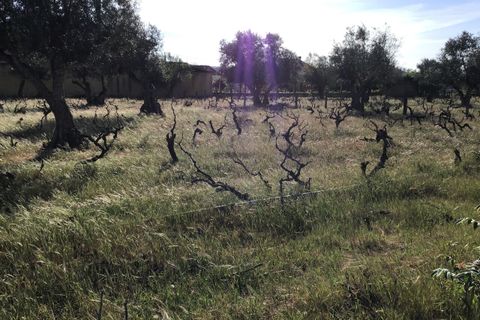 Helårsgrund i Abrantes, Santarem, Abrantes - € 55.000 | Ref: SF-SAFTI:003212 - foto 8