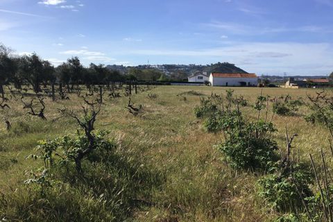 Helårsgrund i Abrantes, Santarem, Abrantes - € 55.000 | Ref: SF-SAFTI:003212 - foto 12
