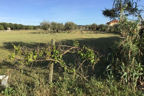 Helårsgrund i Abrantes, Santarem, Abrantes - € 55.000 | Ref: SF-SAFTI:003212 - foto 14