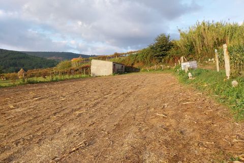 Helårsgrund i Moncao, Viana do Castelo, Moncao - € 8.000 | Ref: SF-SAFTI:003962 - foto 5