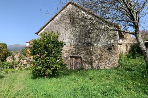 Farm i Prado e Remoaes, Viana do Castelo, Prado e Remoaes - € 69.000 | Ref: SF-SAFTI:00406 - foto 1