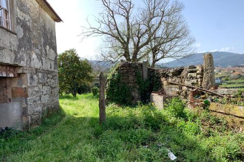 Farm i Prado e Remoaes, Viana do Castelo, Prado e Remoaes - € 69.000 | Ref: SF-SAFTI:00406 - foto 2