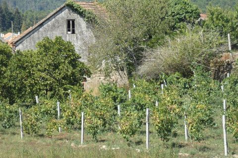 Farm i Prado e Remoaes, Viana do Castelo, Prado e Remoaes - € 69.000 | Ref: SF-SAFTI:00406 - foto 6