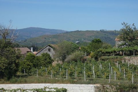 Farm i Prado e Remoaes, Viana do Castelo, Prado e Remoaes - € 69.000 | Ref: SF-SAFTI:00406 - foto 7