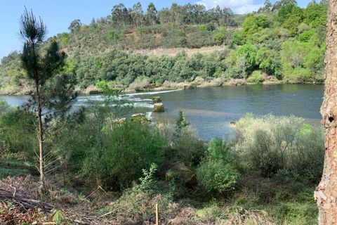 Farm i Prado e Remoaes, Viana do Castelo, Prado e Remoaes - € 69.000 | Ref: SF-SAFTI:00406 - foto 18