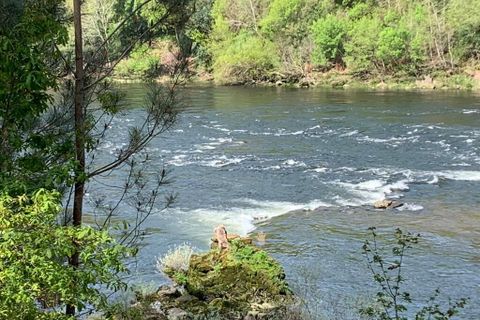 Farm i Prado e Remoaes, Viana do Castelo, Prado e Remoaes - € 69.000 | Ref: SF-SAFTI:00406 - foto 19