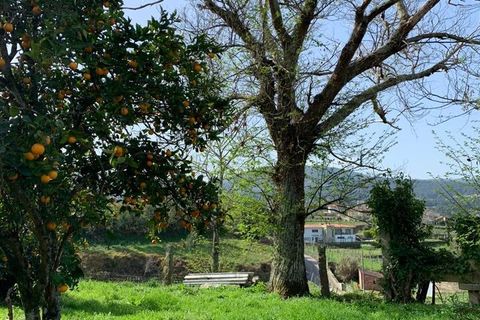 Farm i Prado e Remoaes, Viana do Castelo, Prado e Remoaes - € 69.000 | Ref: SF-SAFTI:00406 - foto 21