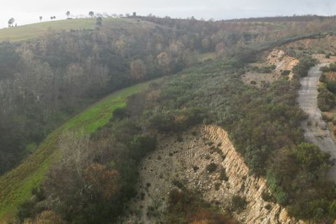 Terra a Podence e Santa Combinha, Braganca, Podence e Santa Combinha - € 600.000 | Ref: SF-SAFTI:004221 - foto 6