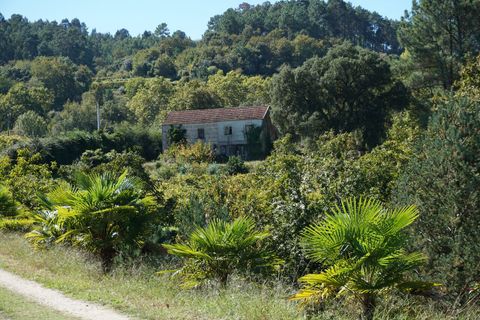 Farm i Melgaco, Viana do Castelo, Melgaco - € 330.000 | Ref: SF-SAFTI:003970 - foto 3