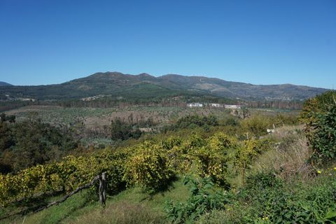 Farm i Melgaco, Viana do Castelo, Melgaco - € 330.000 | Ref: SF-SAFTI:003970 - foto 4