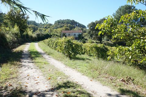 Farm i Melgaco, Viana do Castelo, Melgaco - € 330.000 | Ref: SF-SAFTI:003970 - foto 5
